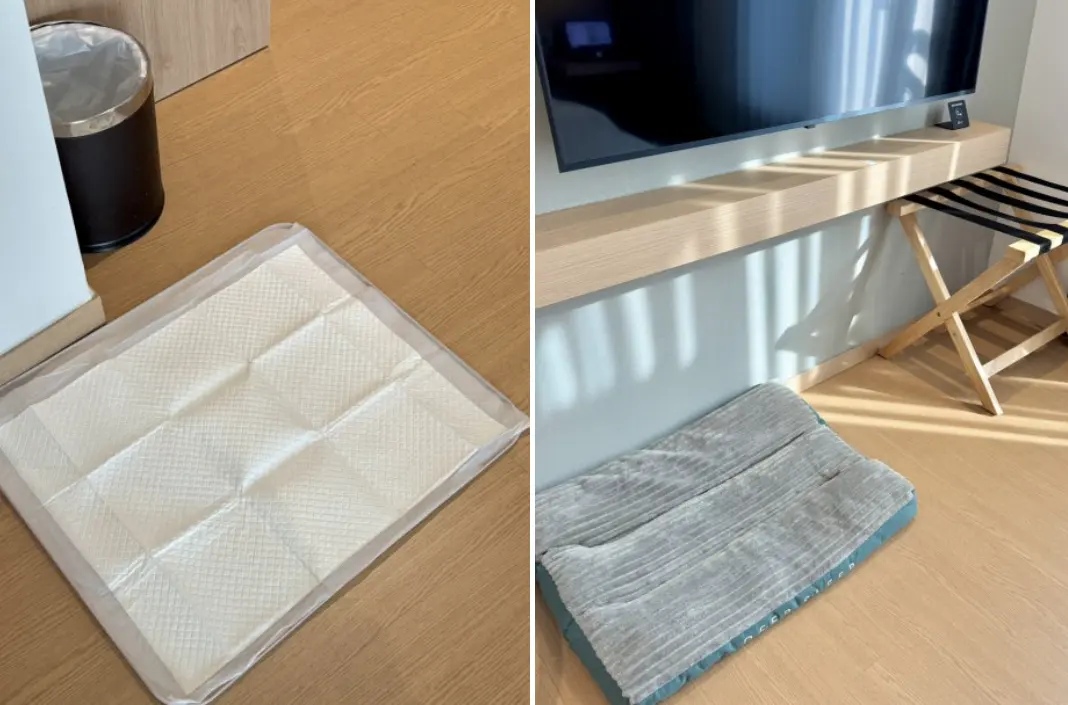チェスタートンズ慶州のペット用アメニティ