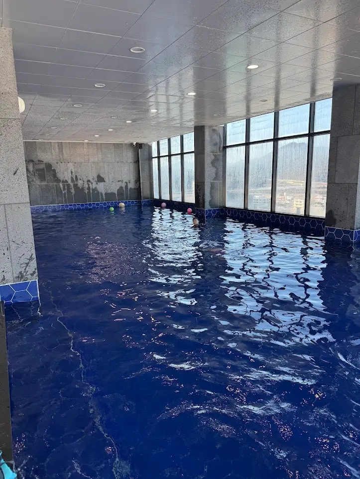 慶州市街の景色が広がるプール