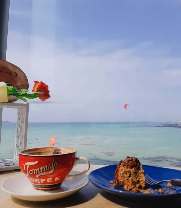 Jeju Geumneung Cafe Paratodos: Discover the Best Ocean View Cafe of Your Life