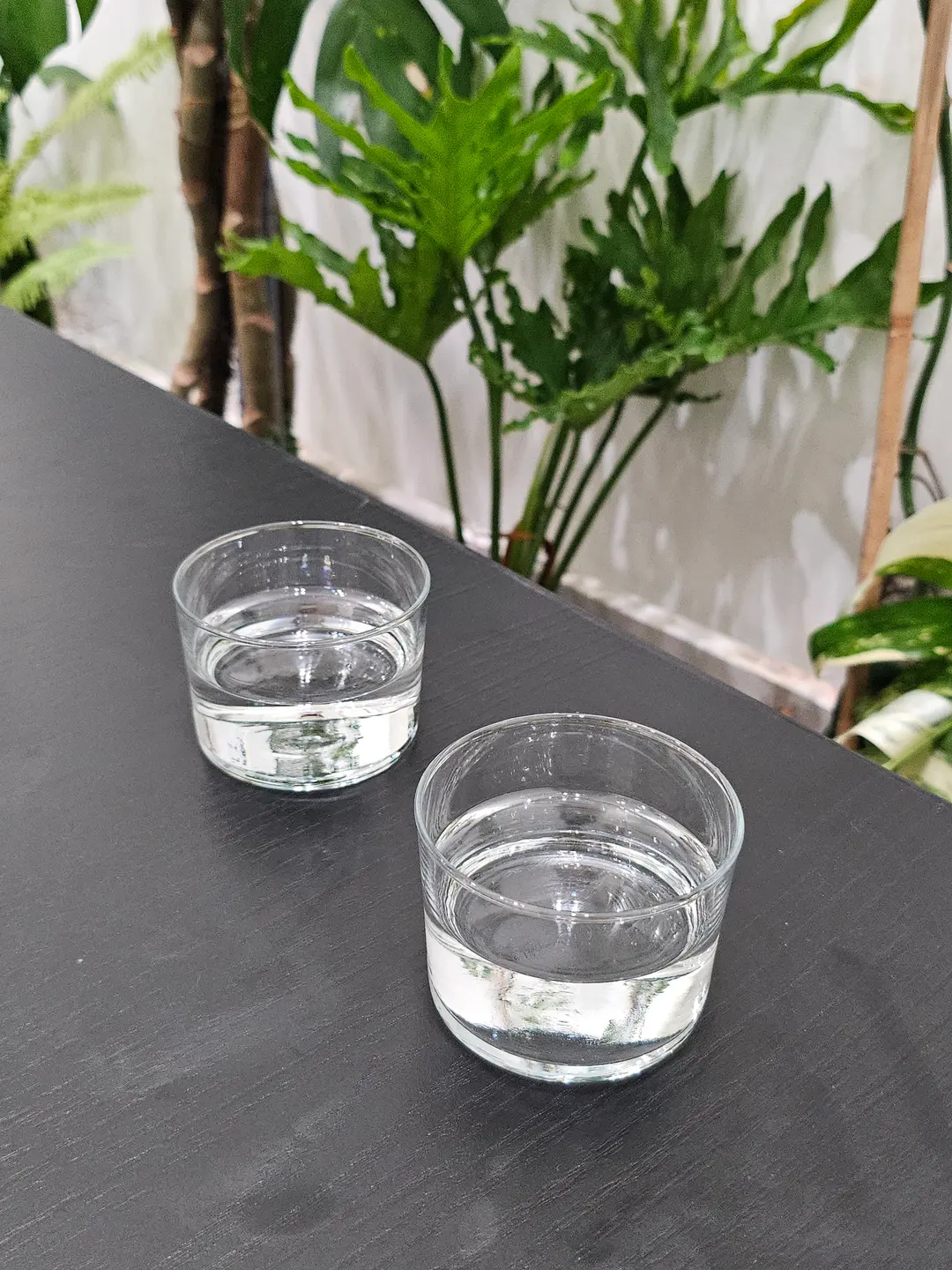 커피 제공 전 미리 준 물 2잔