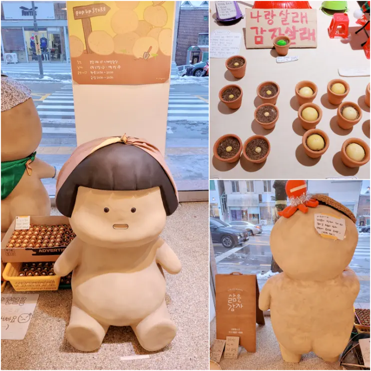강릉역 근처 소품샵 삶은감자 귀여운 강릉 감자 굿즈샵 강릉 놀거리 추천