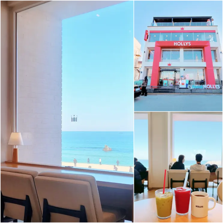 Gangneung's Must-Visit Ocean View Cafe: Hollys Coffee at Anmok Beach Coffee Street