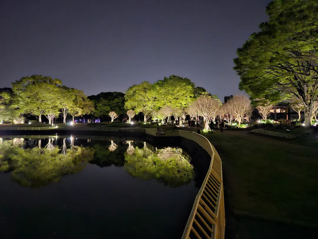 夜の植物園と光のオブジェ