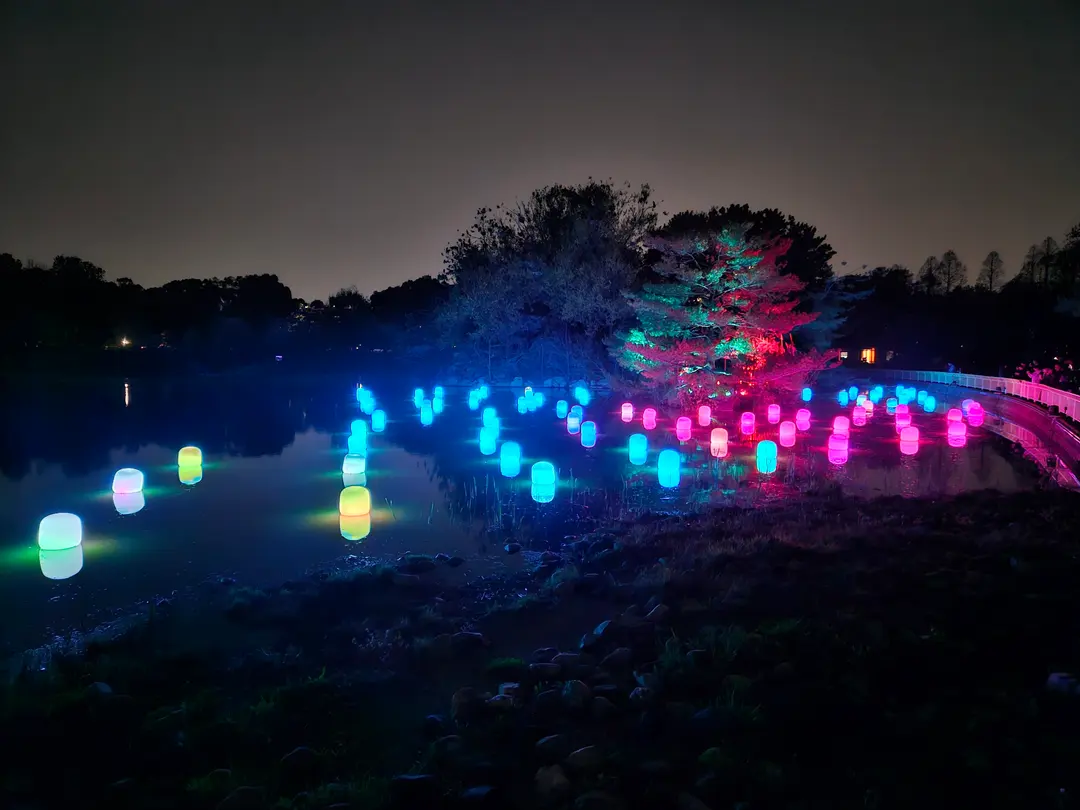 水面に映る光のアート
