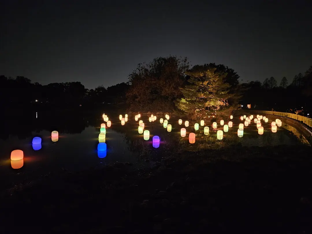 湖畔の光のアート