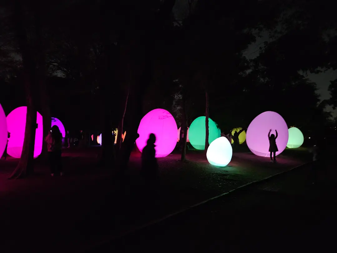 夜の植物園の風景