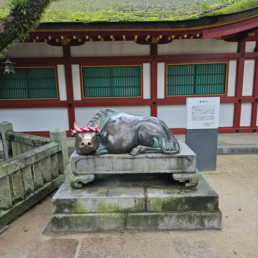 Another ox inside
