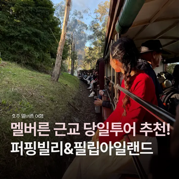 Melbourne Day Trip Recommendation: Puffing Billy & Phillip Island