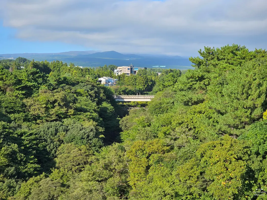북쪽을 바라보면 한라산이 보여요.