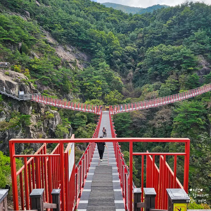 Gyeongsangnam-do Geochang Must-Visit: Anti-aging Healing Land Y-shaped Suspension Bridge, A Four-Season Nature Healing Spot for Families