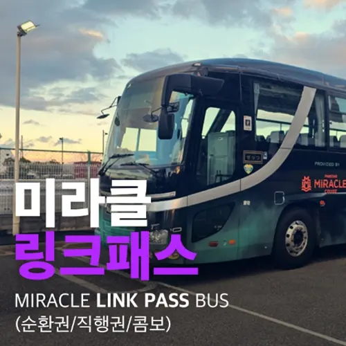 Japan Tsushima Bus Tour Hitakatsu Loop Izuhara Direct Miracle Link Pass Loop Bus Reservation