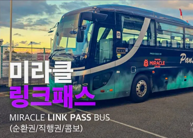대마도 이동 고민 끝! 히타카츠 이즈하라 이동 걱정 해결 버스투어 미라클 링크 패스