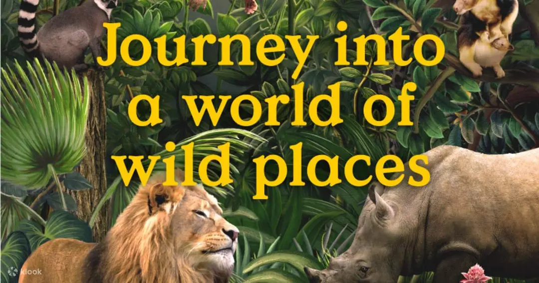 ตั๋ว Singapore Zoo (Mandai Wildlife Reserve) - Klook ประเทศไทย