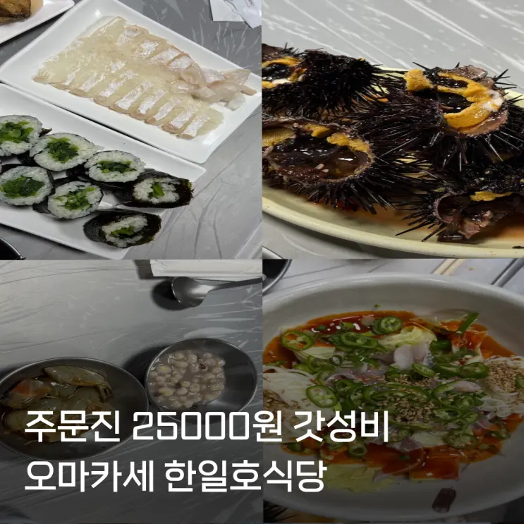 강릉 주문진 맛집 25000원 오마카세 한일호식당 내돈내산 추천후기