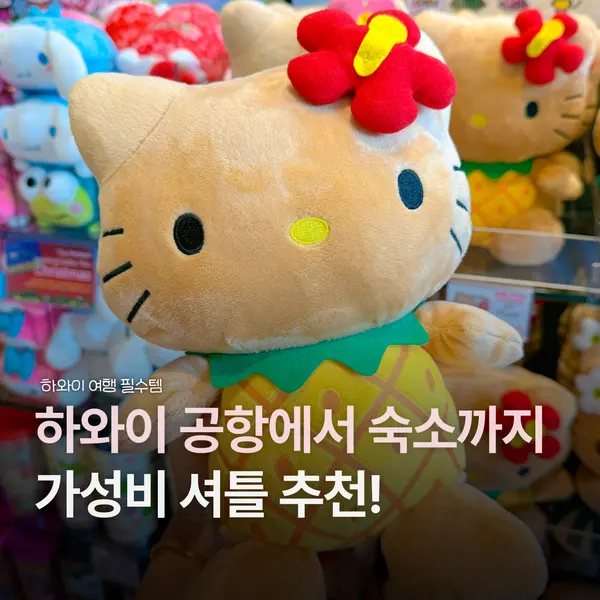 하와이 공항 픽업 셔틀 후기 예약 방법까지 총정리
