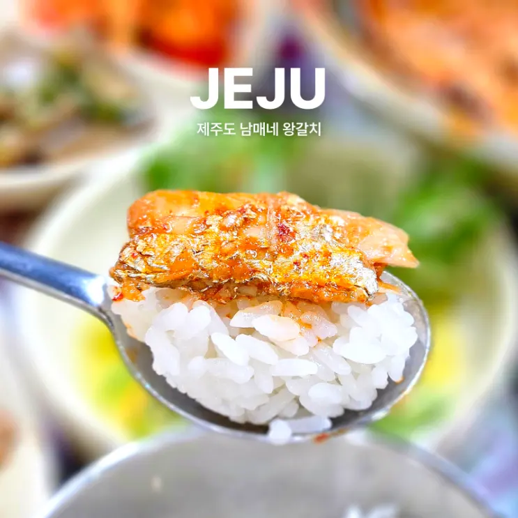 제주도 서귀포 올레시장 맛집 남매네왕갈치 조림 구이