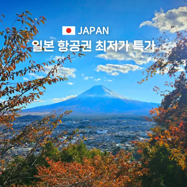 日本航空券最安値安く購入する方法 日本自由旅行準備物