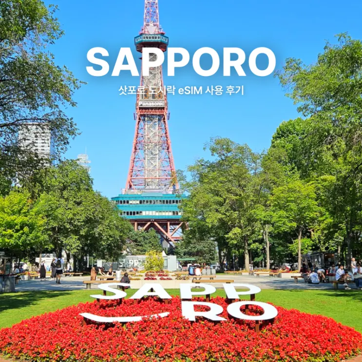 Japan eSIM Recommendation: Sapporo Pocket WiFi & Setup Guide