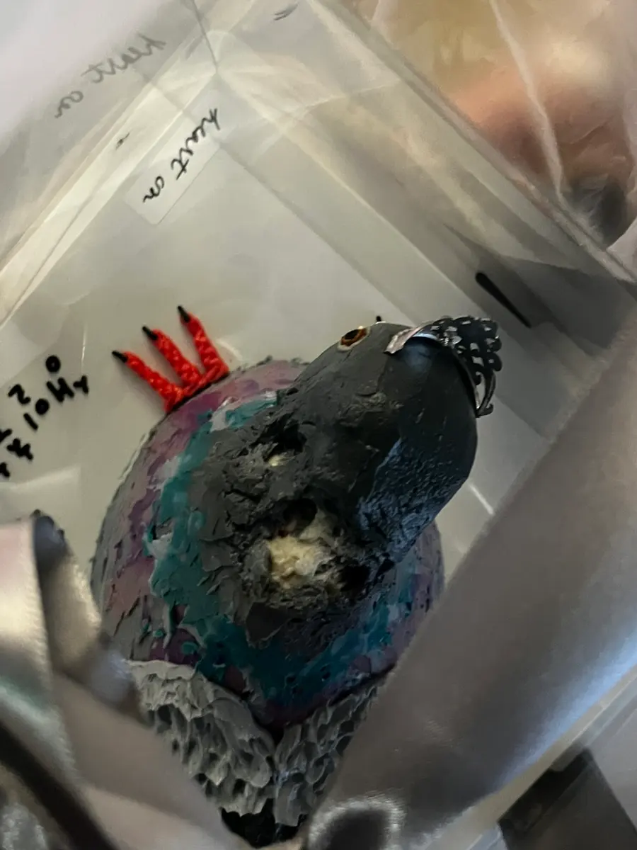 Pigeon Cake | Hongdae Birthday Cake Order | Pigeon Cake Review Gugu...