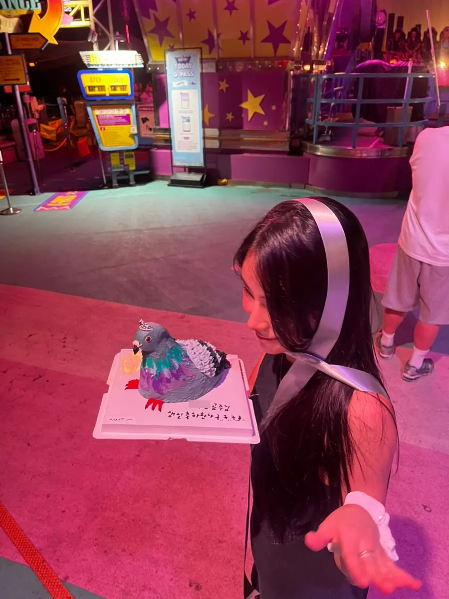 Pigeon Cake | Hongdae Birthday Cake Order | Pigeon Cake Review Gugu...