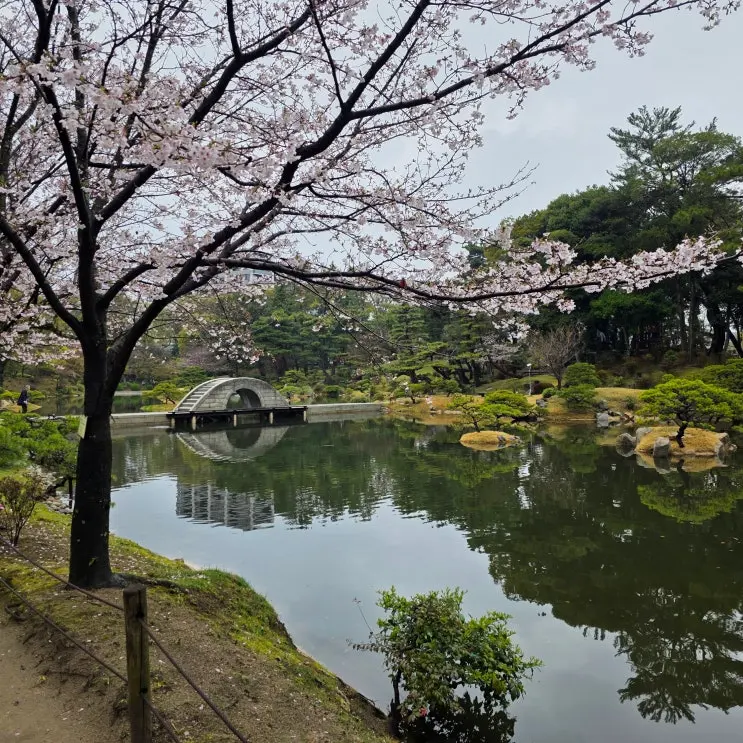 広島のおすすめスポット 縮景園と県立美術館を散策