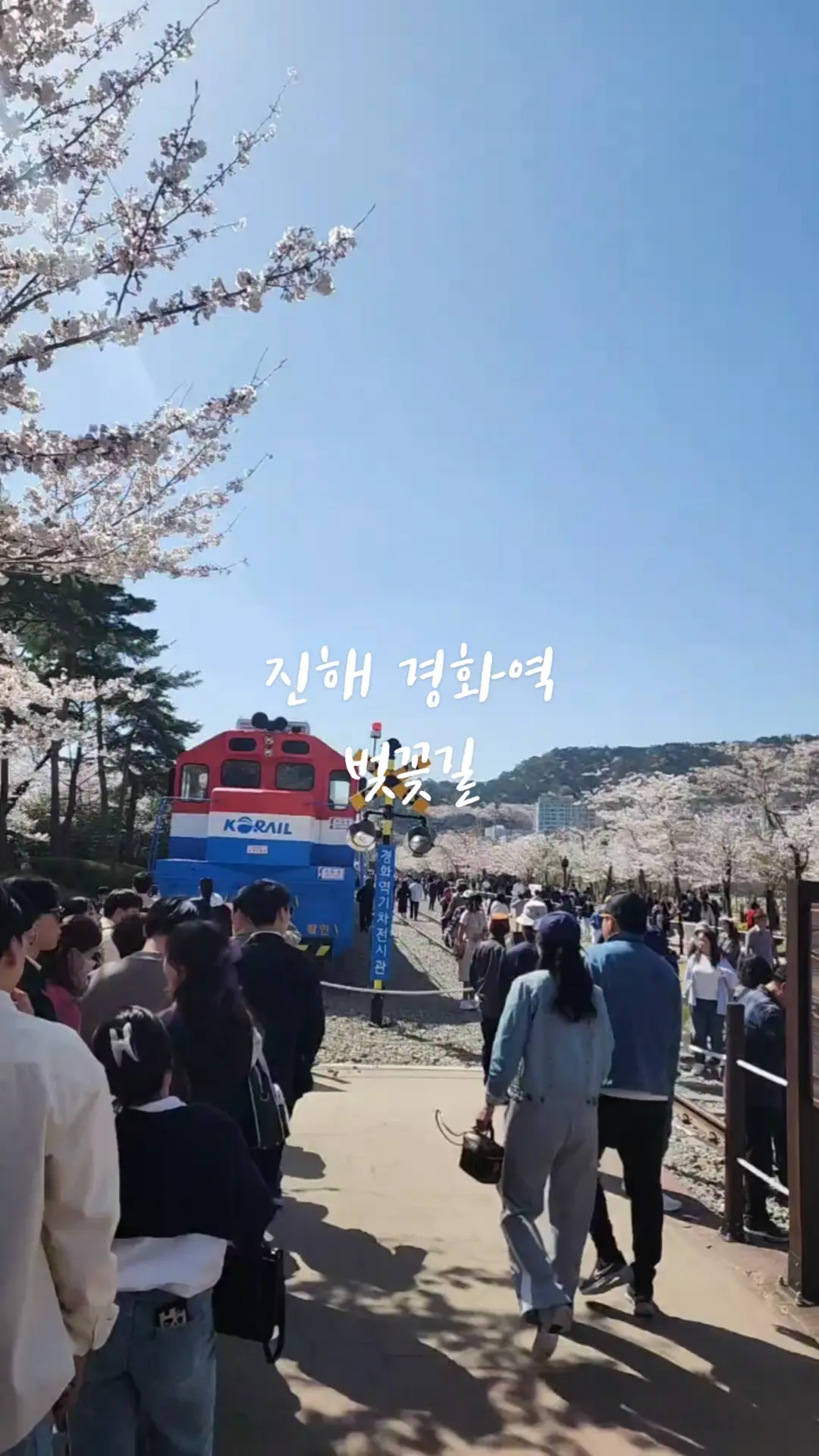#진해경화역 #벚꽃길 #진해군항제 #하이라이트챌린지