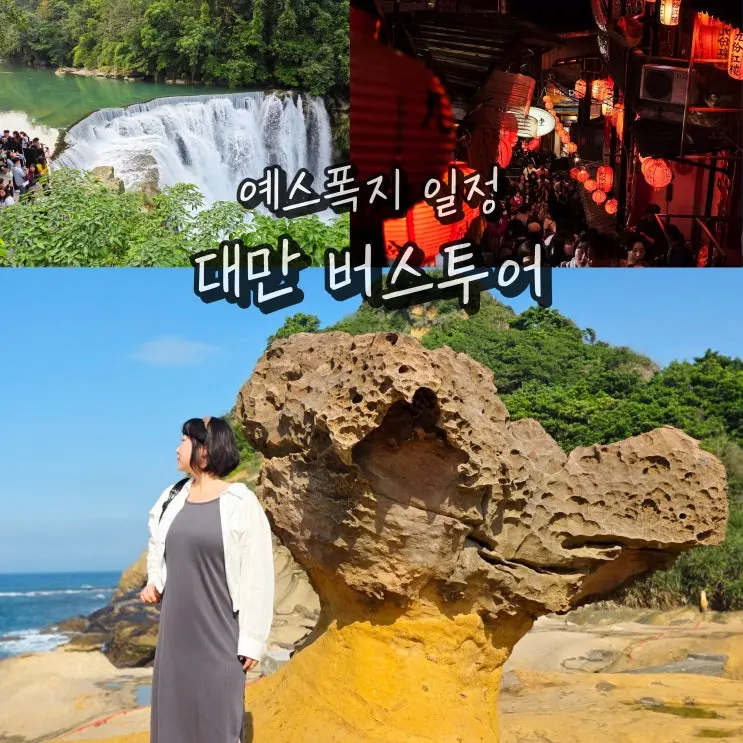 대만 예스지 버스투어 예스폭지 지우펀 포함 여행지 일정
