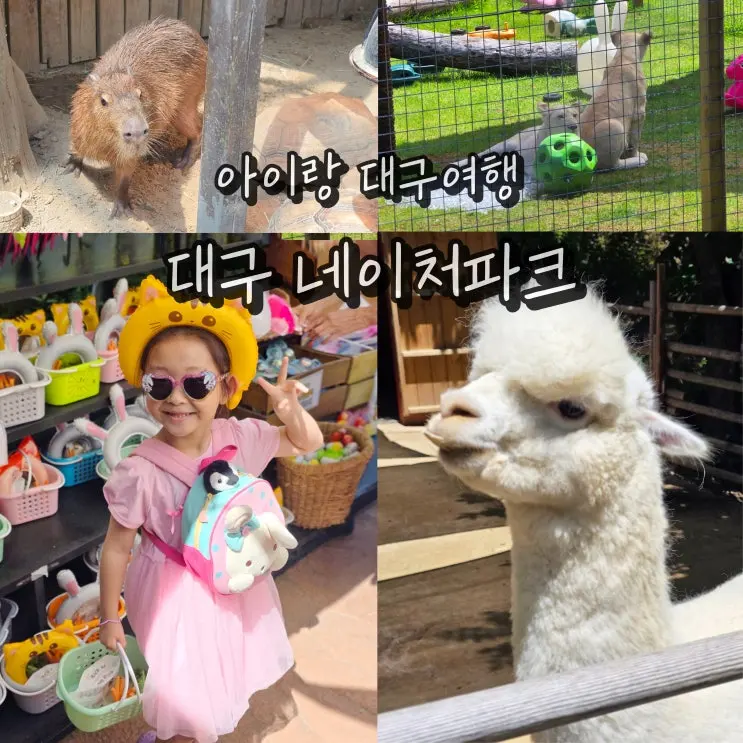 네이처파크 대구 아이랑 가볼만한곳 동물원 여행 볼거리