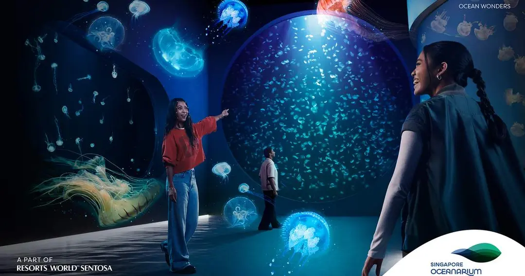 Singapore S.E.A. Aquarium Tickets - Klook Korea