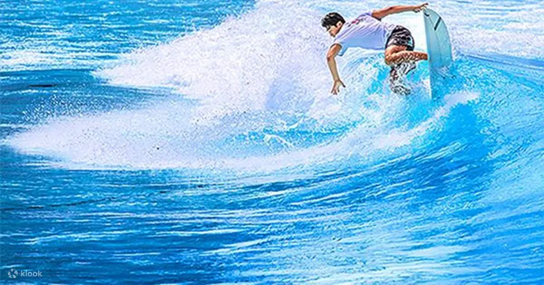 บัตรเข้า Wave Park Surf Zone เมืองซีฮึง คยองกี - Klook