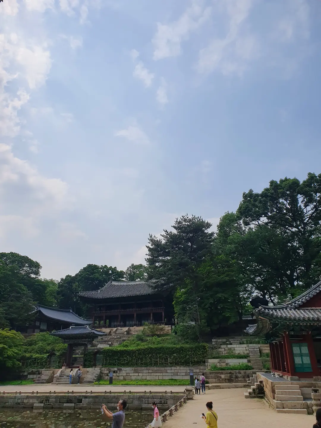 낮의 부용지