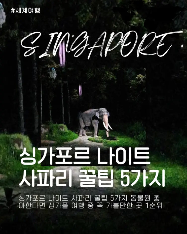싱가포르 나이트 사파리 꿀팁 5가지 동물원 좋아한다면 싱가폴 여행 중 꼭 가볼만한 곳 1순위