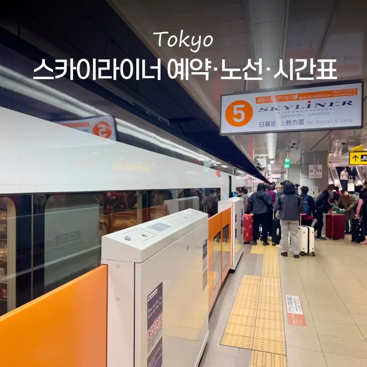 도쿄 스카이라이너 역 예약 시간표 티켓 가격 나리타공항에서 시내