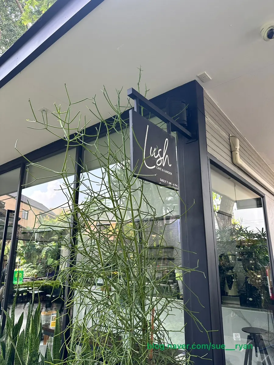 치앙마이 카페 LUSH