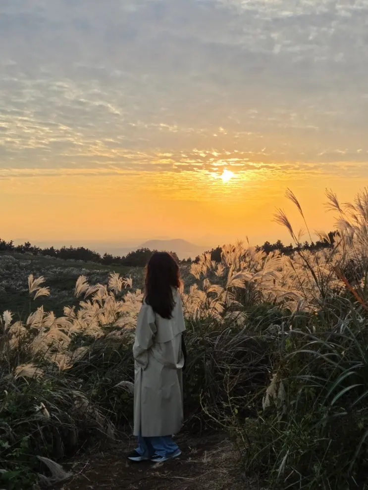 제주도 11월 초 날씨, 옷차림, 짐 싸기 팁ㅣ제주도 가을 여행이 좋은 이유