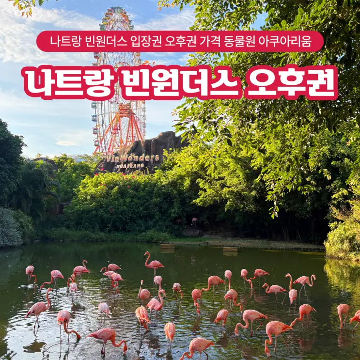 나트랑 빈원더스 입장권 오후권 가격 동물원 아쿠아리움 후기