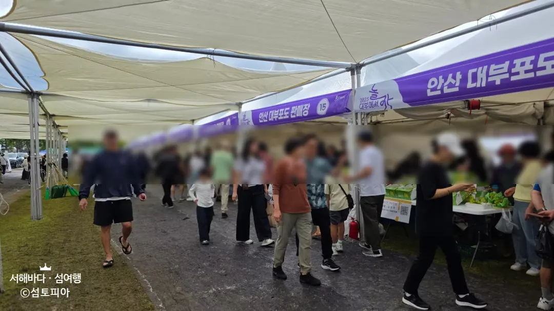 출처, 2026 안산 대부포도축제 / 안산시