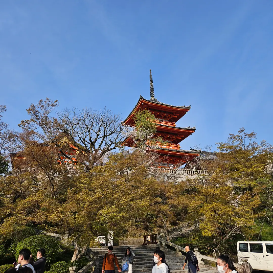 清水寺の舞台