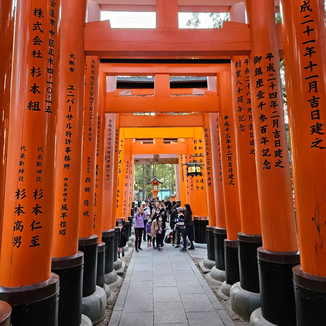 伏見稲荷大社の千本鳥居