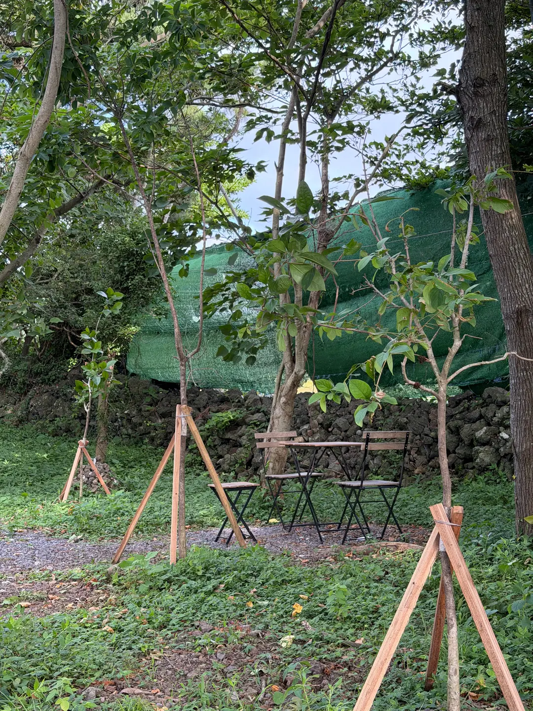 제주 동쪽 반려견동반카페
