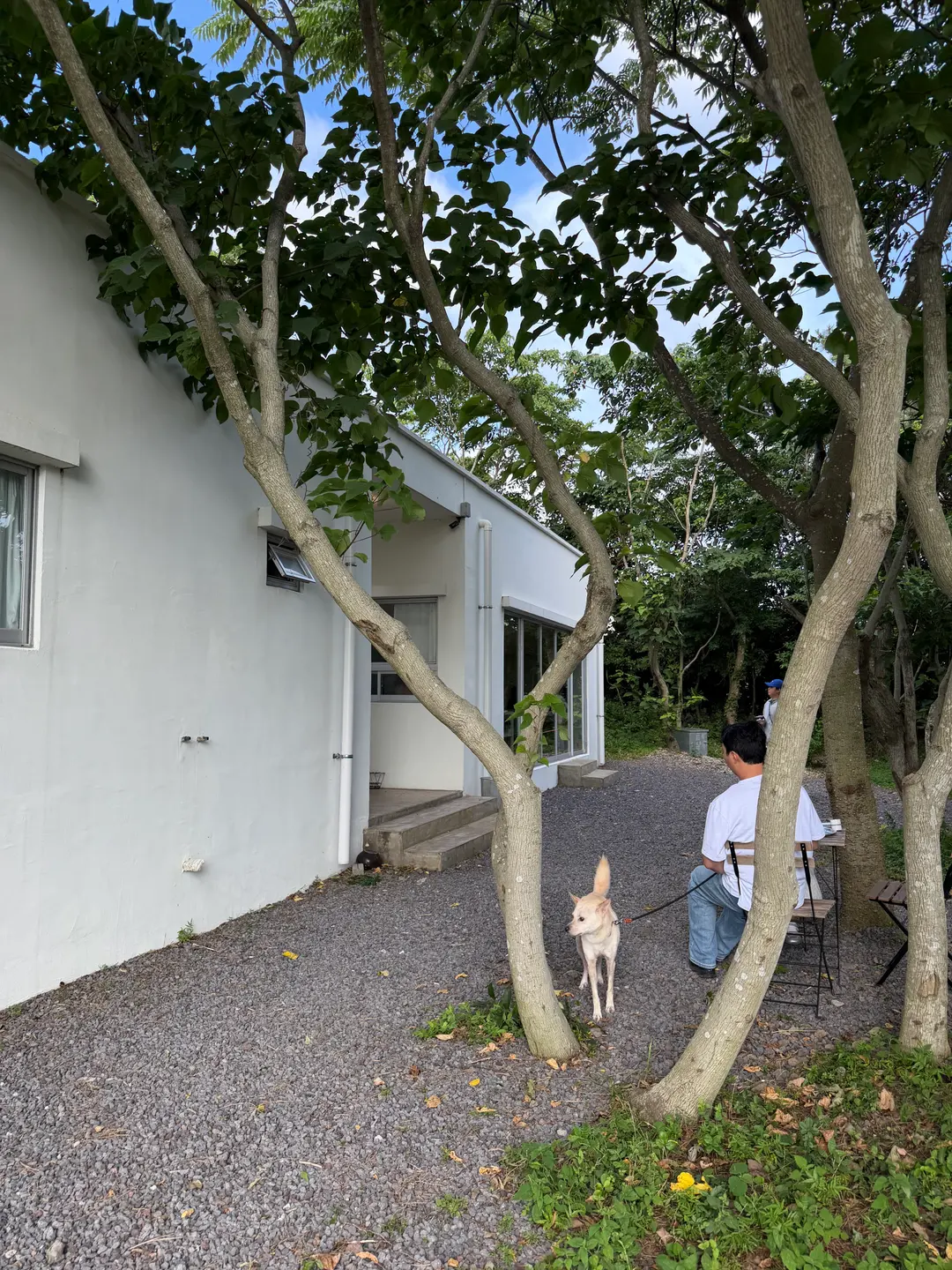 제주 나와산 애견동반