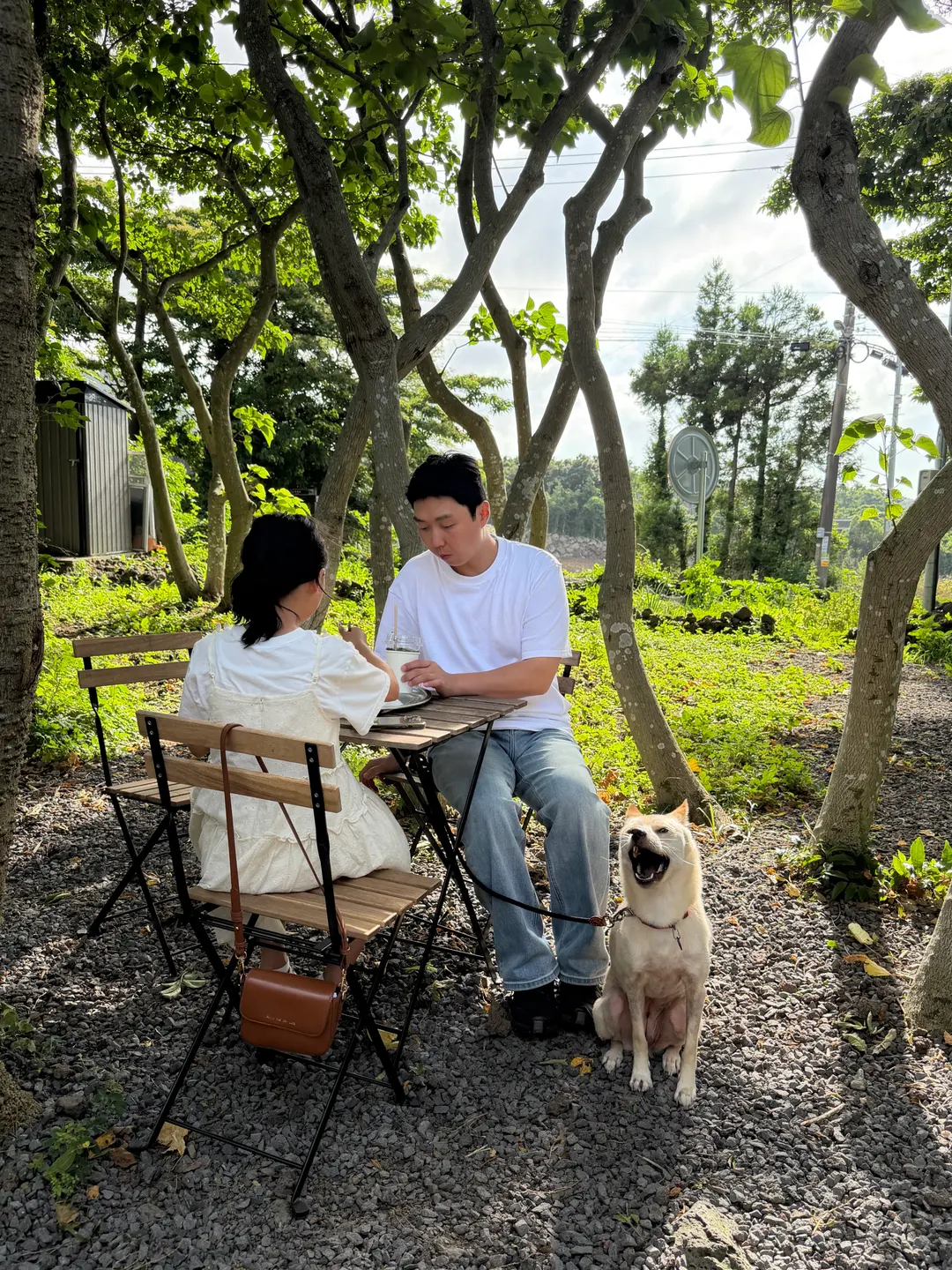 제주 반려견동반카페 추천