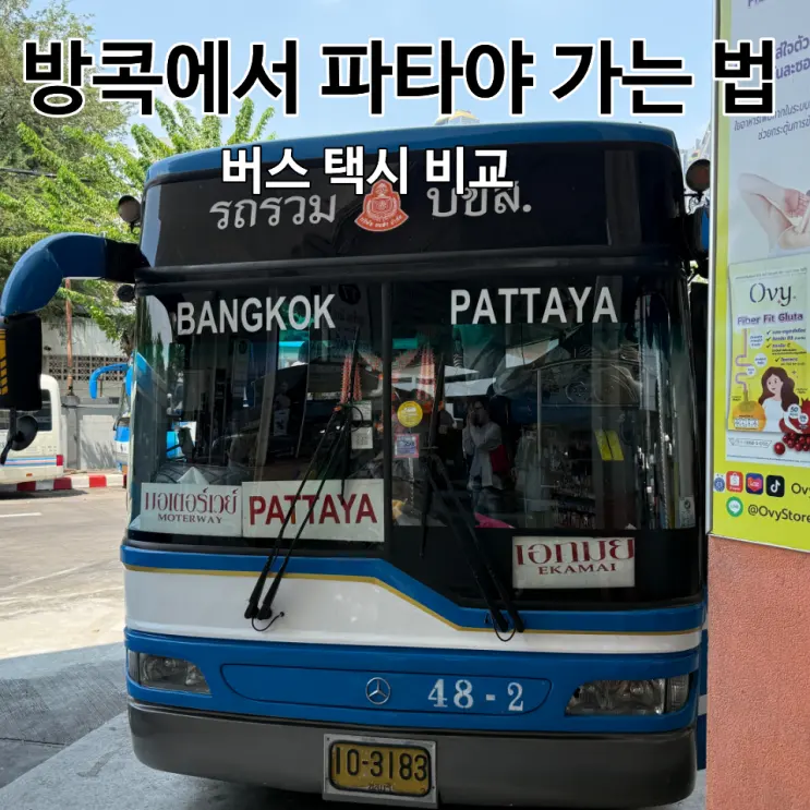 방콕에서 파타야 가는법 버스 택시 이동 가격 비교 내돈내산 후기