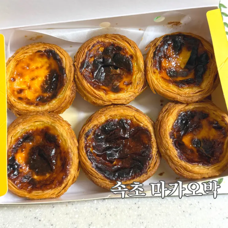속초마카오박 에그타르트 예약팁, 주차, 웨이팅 솔직후기
