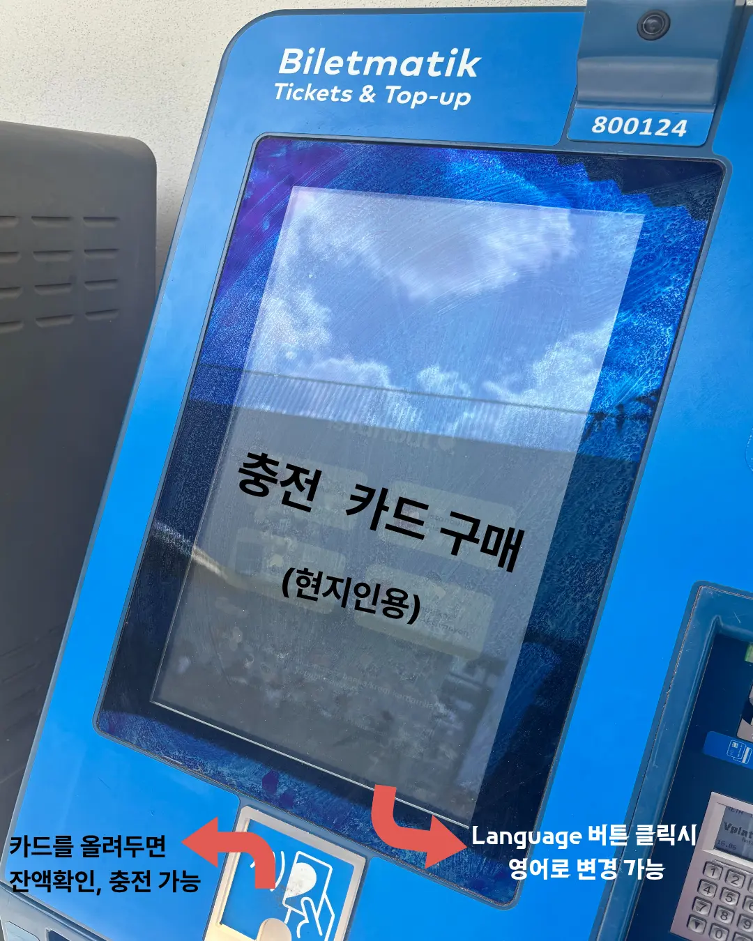 햇빛이 강해서 어떻게 찍어도 흐리게 나오더라구요ㅜ