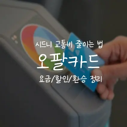 시드니 오팔카드 사용법 총정리⎟시드니 교통카드 모르면 벌금내요