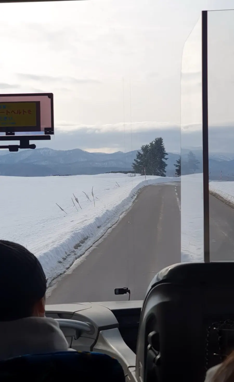 On the tour bus to Biei 🚎