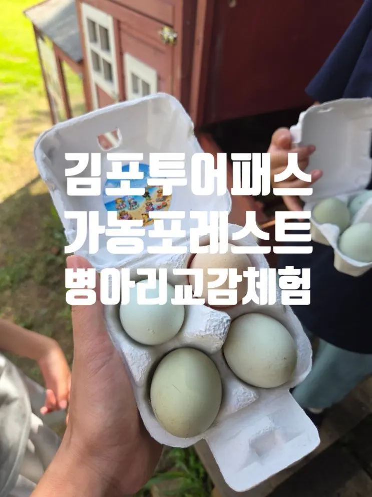 김포 경기투어패스 가농포레스트 아이랑 방학체험 후기