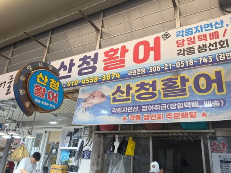 통영중앙시장맛집 산청활어, 8월제철 농어 회포장 횟집추천