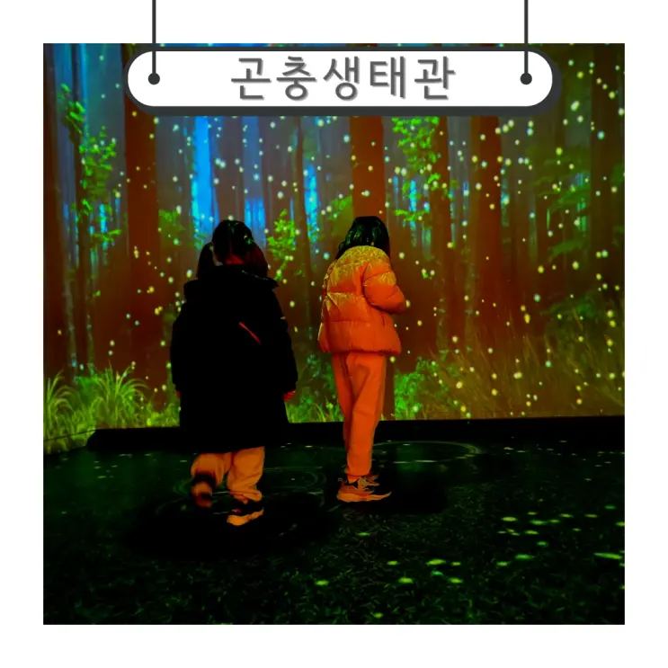 대전 실내 아이와 가볼만한곳 겨울 실내데이트 곤충들의 놀이터 곤충생태관